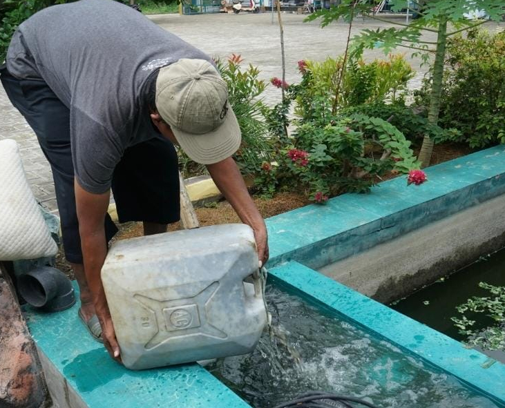 Pesantren Mandiri: IBS PKMKK dan Paguyuban Walisantri Kembangkan Budi Daya Ikan Air Tawar